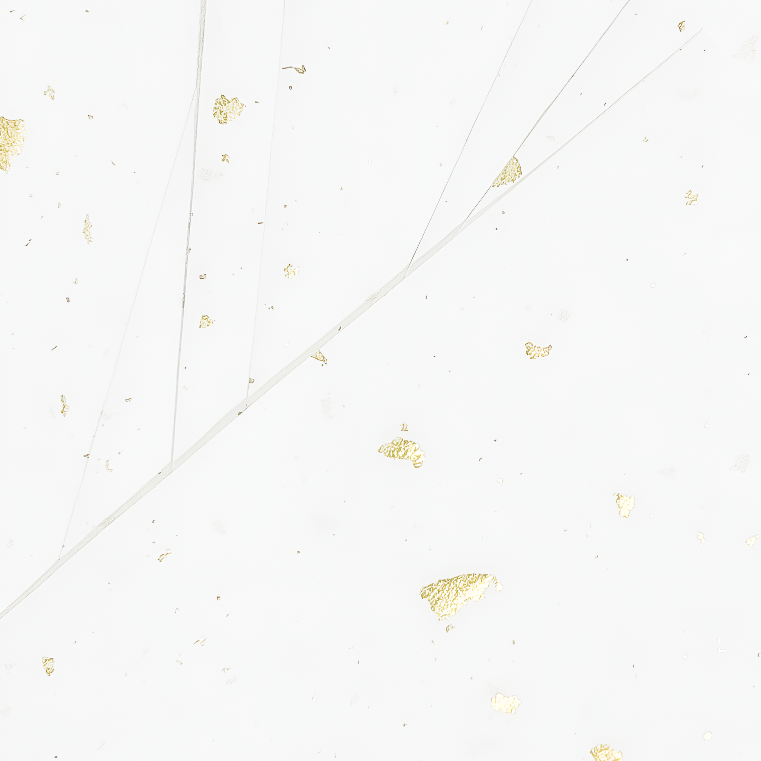 Матирующие салфетки с частицами золота, 200 шт